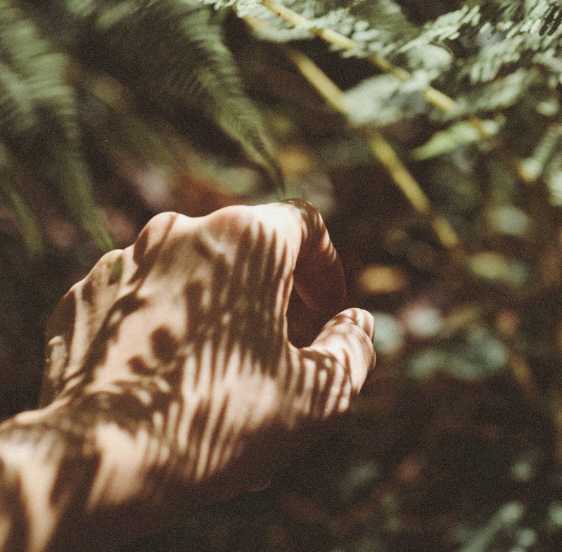 Eine Hand greift nach etwas